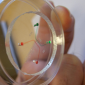 microfluidics device